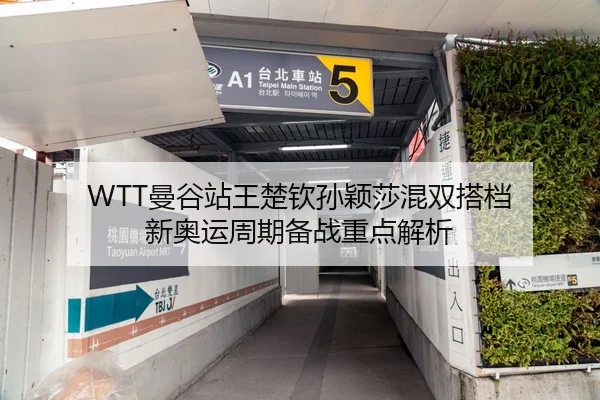 WTT曼谷站王楚钦孙颖莎混双搭档 新奥运周期备战重点解析