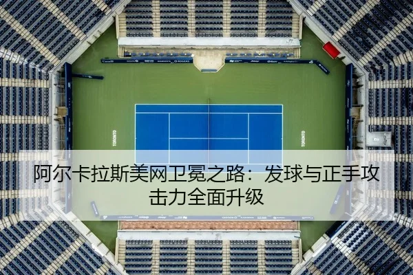 a-er-ka-la-si-mei-wang-wei-mian-zhi-lu-fa-qiu-yu-zheng-shou-gong-ji-li-quan-mian-sheng-ji-3-259.jpg