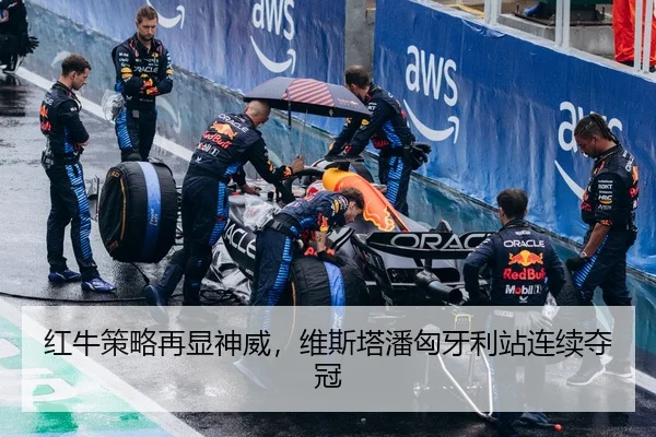 红牛策略再显神威，维斯塔潘匈牙利站连续夺冠