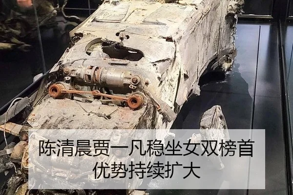 chen-qing-chen-jia-yi-fan-wen-zuo-nv-shuang-bang-shou-you-shi-chi-xu-kuo-da-3-866.jpg