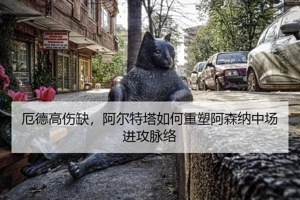 e-de-gao-shang-que-a-er-te-ta-ru-he-zhong-su-a-sen-na-zhong-chang-jin-gong-mai-luo-3-452.jpg